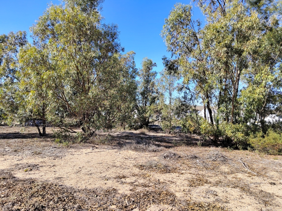 0 Bedroom Property for Sale in Brittania Beach Estate Western Cape